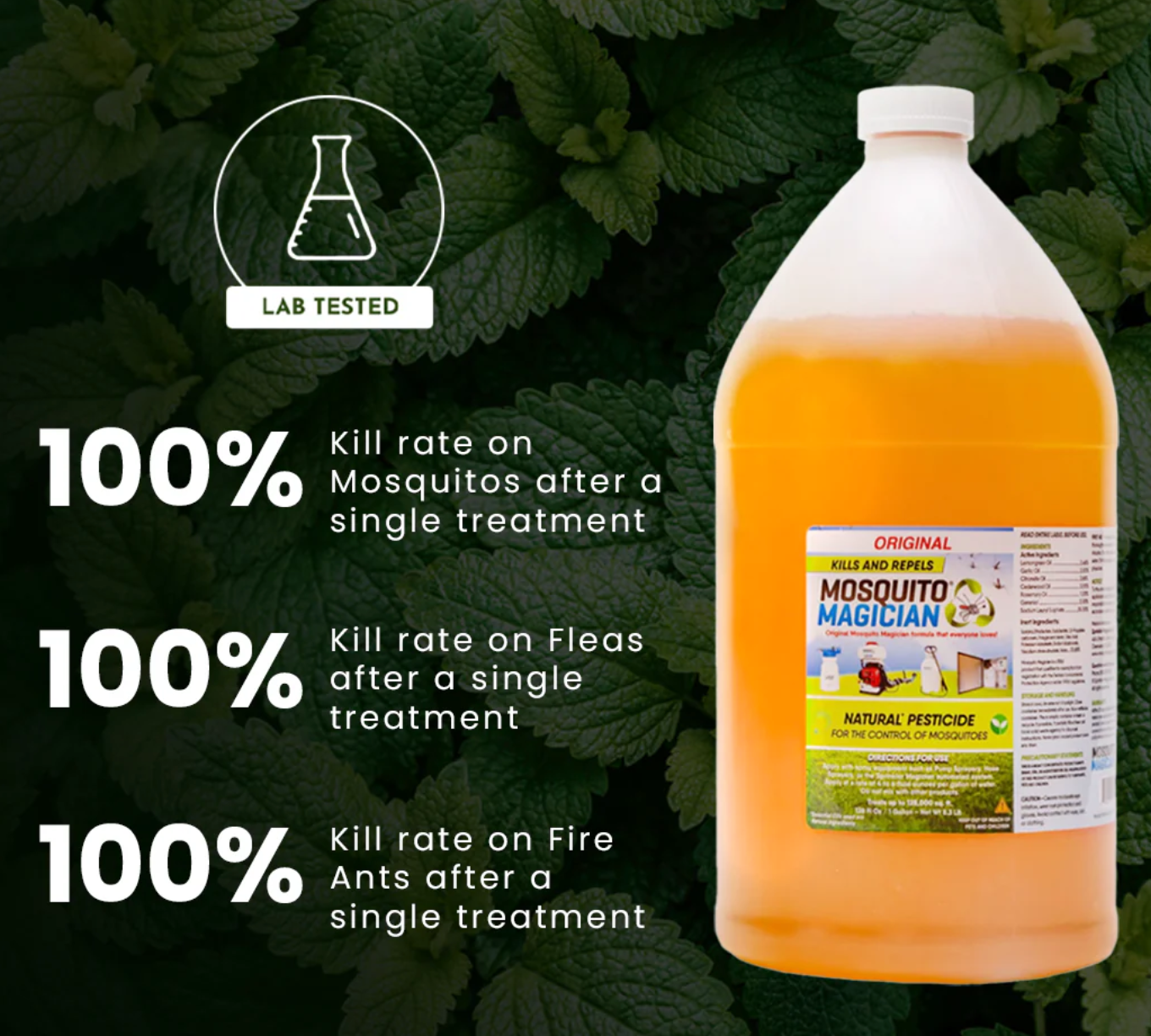 Mosquito Killer & Repellent Concentrate - MINT 1 Gallon