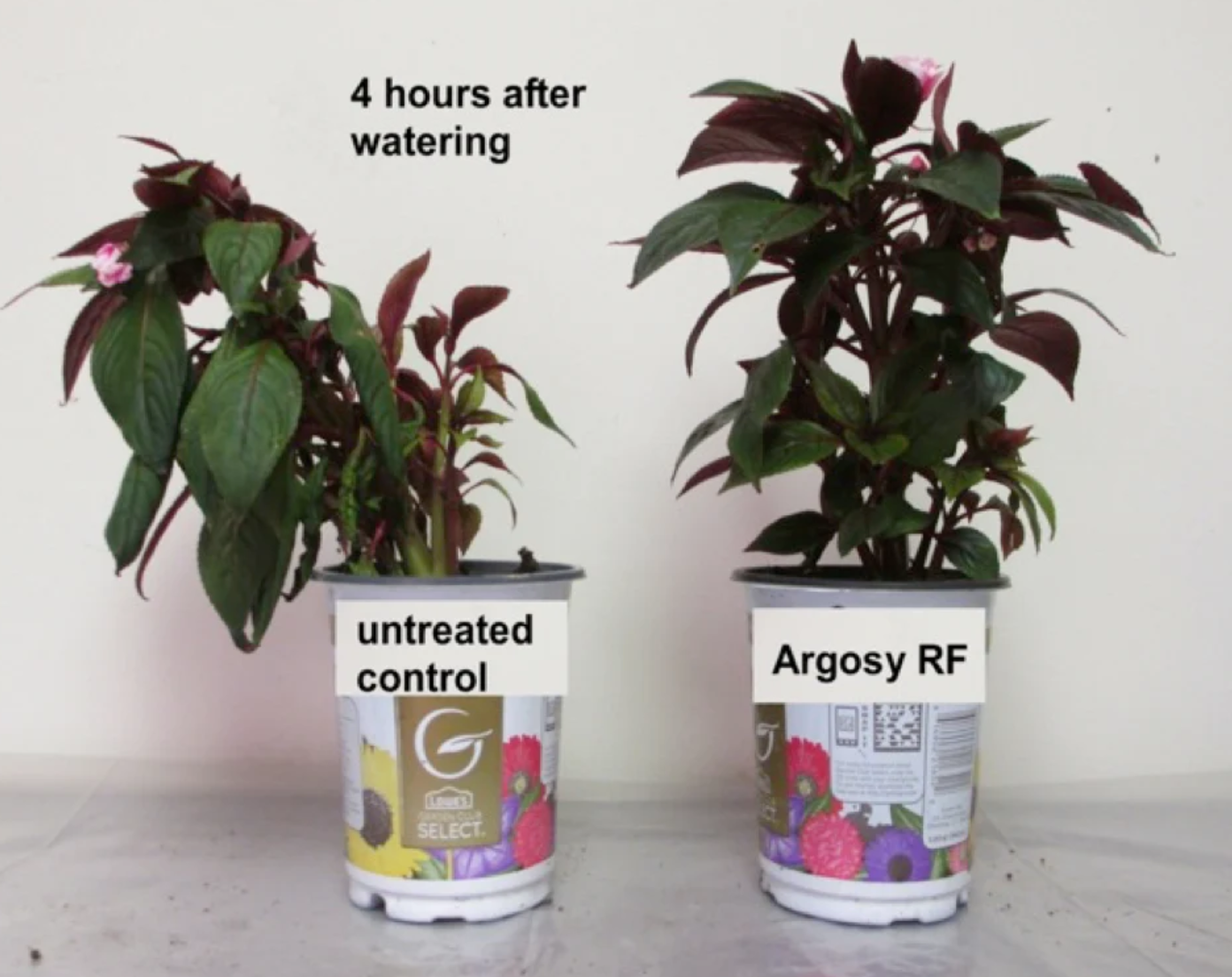 Argosy RF - Mosquito Magician Extender & Water Saver - 1 Gallon