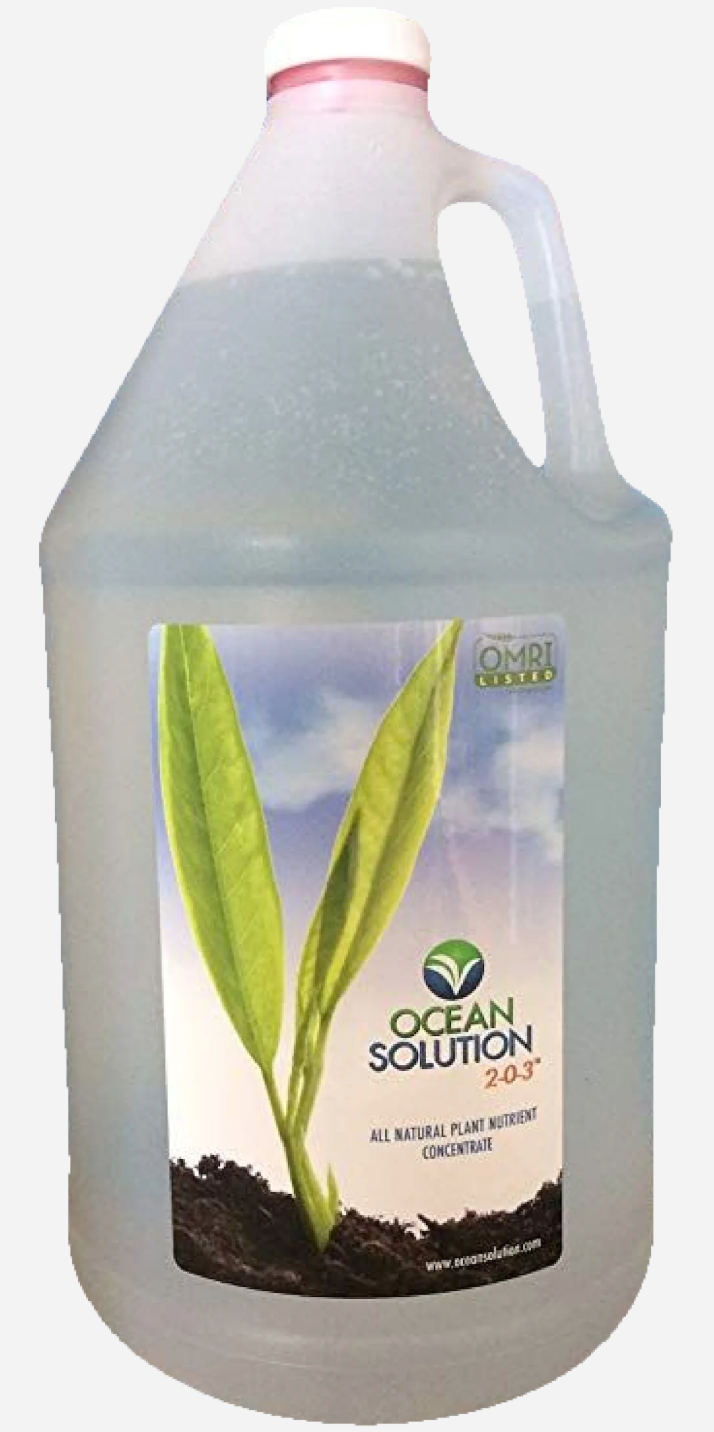 Ocean Solution Organic Fertilizer - 1 gallon