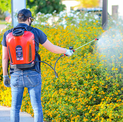 Electric Backpack Sprayer + 1 Gallon Mosquito Killer & Repellent Combo
