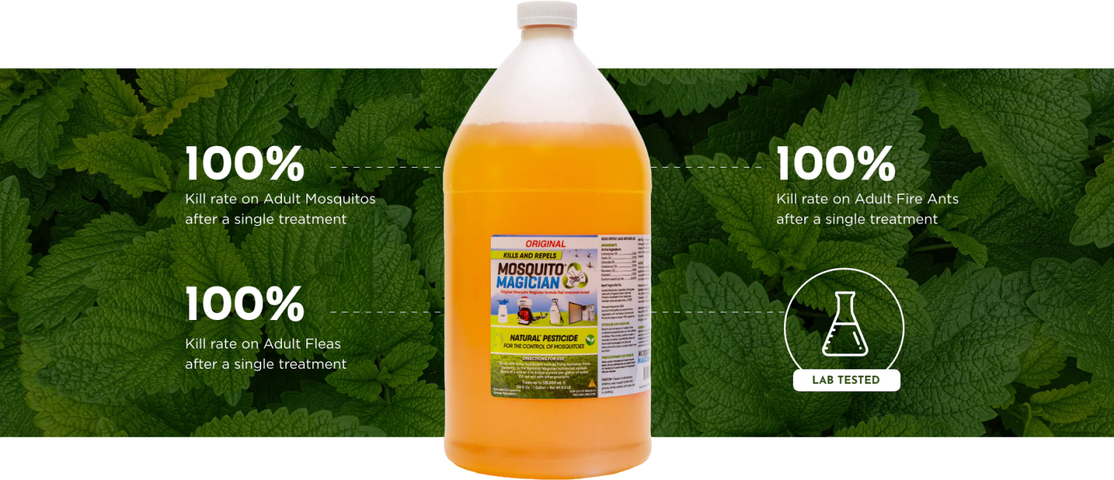 Mosquito-Free Yard After Spray